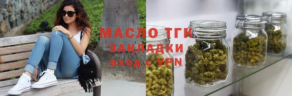 эйфоретик Няндома