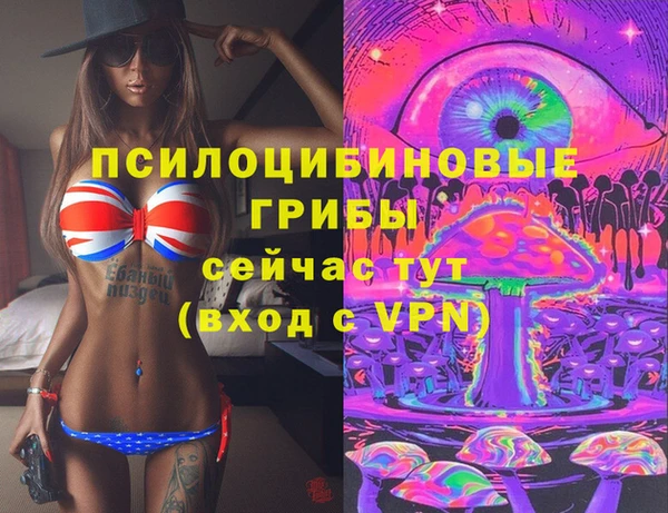 гидропоника Осинники
