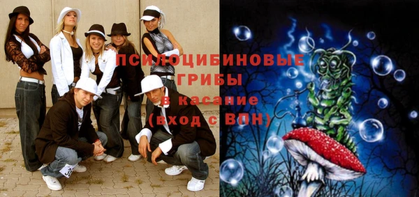 эйфоретик Няндома