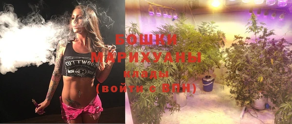 гидропоника Осинники