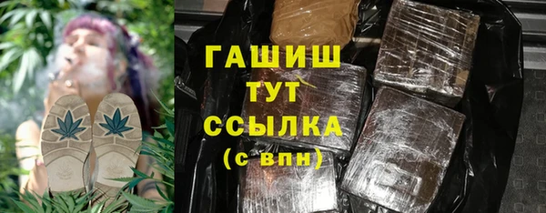 эйфоретик Няндома