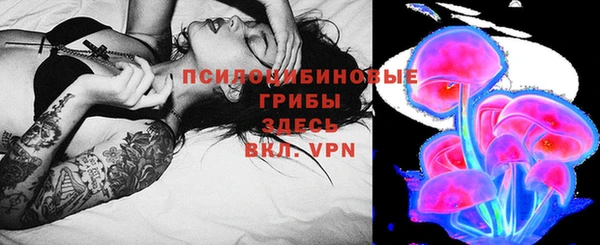 амф Осташков