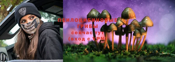 индика Богданович