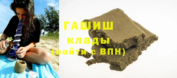 эйфоретик Няндома