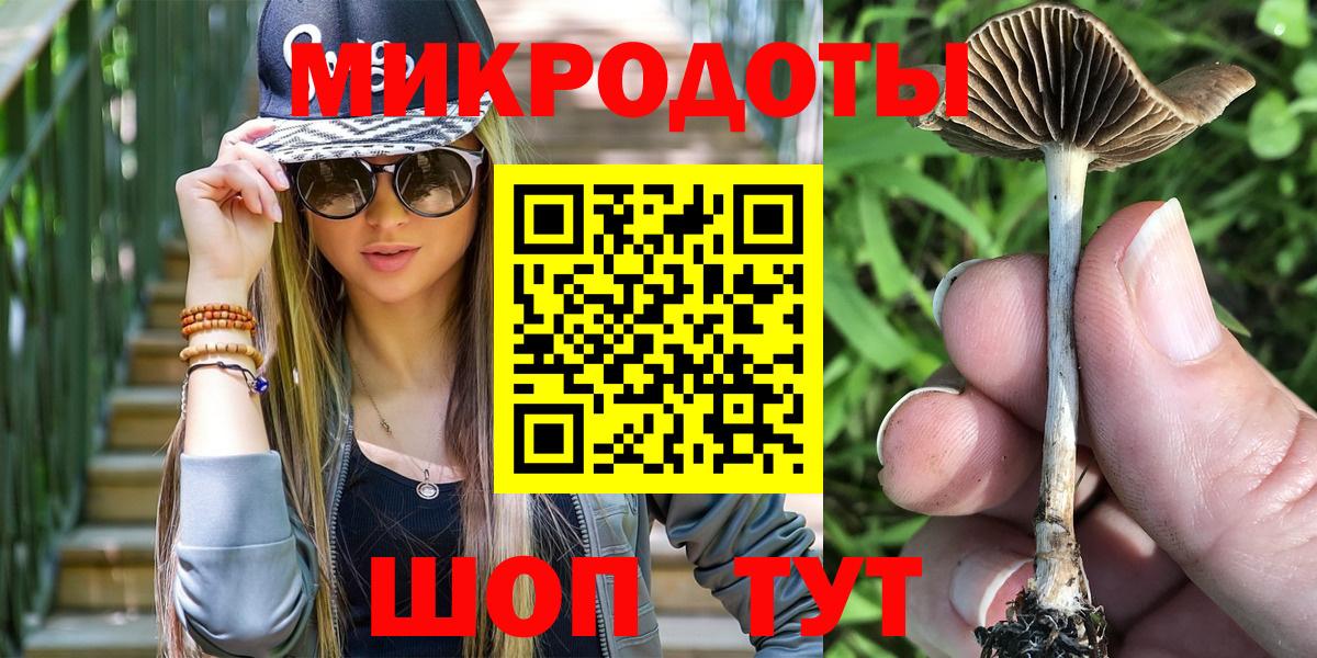 Галлюциногенные грибы Psilocybe Новотроицк